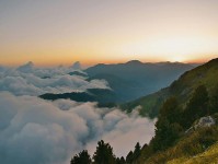 黑料网想转发前：先看字幕改语气吗，再把情绪词去掉再读