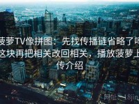菠萝TV像拼图：先找传播链省略了吗这块再把相关改回相关，播放菠萝上传介绍